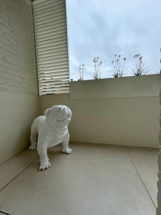 Appartement Neuf En Plein Centre Namur Exteriör bild